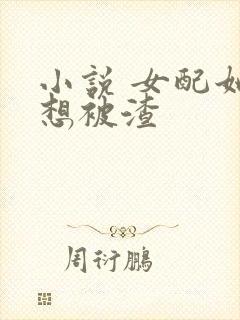 小说 女配她只想被渣