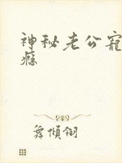 神秘老公宠妻上瘾