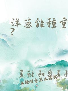洋葱能种重茬吗?