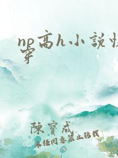 np高h小说快穿