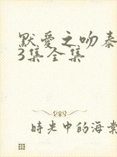 默爱之吻泰剧13集全集