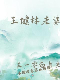 王健林老婆简介