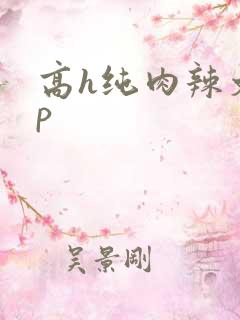 高h纯肉辣文np