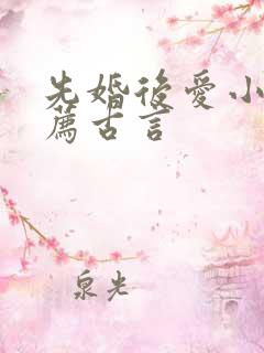 先婚后爱小说推荐古言