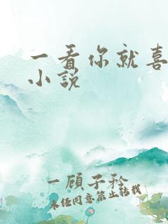 一看你就喜欢我小说