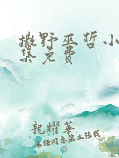 撒野巫哲小说全集免费