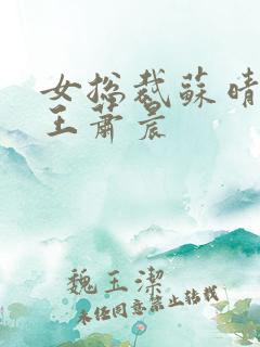 女总裁苏晴与兵王萧晨