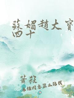 苏媚赵大宝今年四十