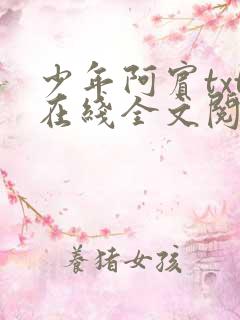 少年阿宾txt在线全文阅读