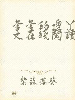爹爹的傻丫头全文在线阅读小说