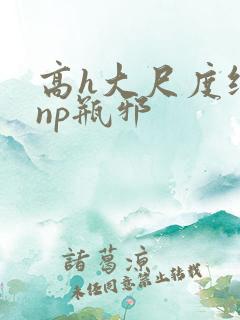 高h大尺度纯肉np瓶邪