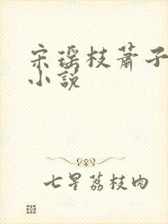 宋瑶枝萧子骞的小说