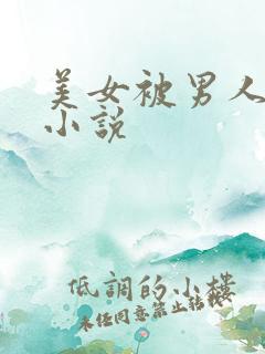美女被男人插的小说