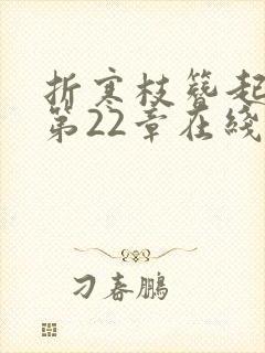 折寒枝簪起霜思第22章在线阅读