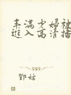 丰满少妇被猛烈进入高清播放小说