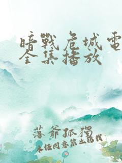 暗战危城电视剧全集播放