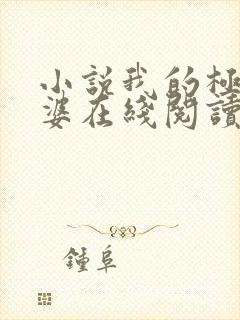 小说我的极品老婆在线阅读全文