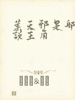 叶天邪是哪部小说主角