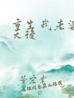 重生 我老婆是天后