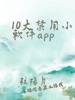 10大禁用小说软件app