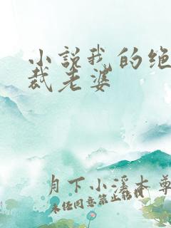 小说我的绝美总裁老婆