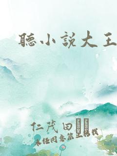 听小说大王饶命