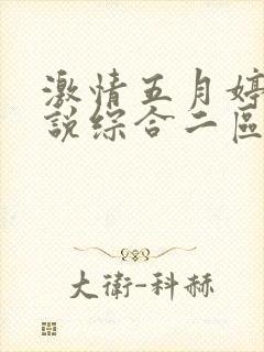 激情五月婷婷小说综合二区