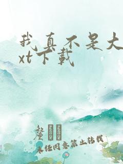 我真不是大佬txt下载