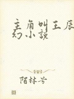 主角叫王辰的玄幻小说
