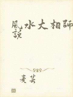 风水大相师 小说
