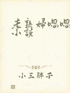 老熟妇嗯嗯啊啊小说