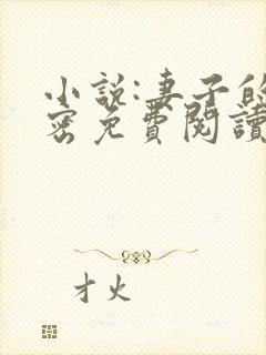 小说:妻子的秘密免费阅读