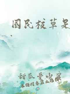 国民校草是女生.