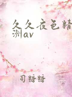 久久夜色精品亚洲av