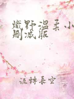 炽野温柔小说未删减版