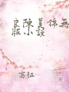 良陈美锦无删减版小说