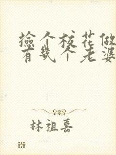 捡个校花做老婆有几个老婆