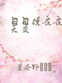 日日摸夜夜爽天天爽