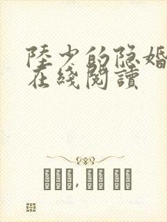 陆少的隐婚罪妻在线阅读