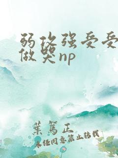 弱攻强受受把攻做哭np