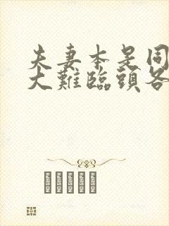 夫妻本是同林鸟大难临头各自飞什么意思