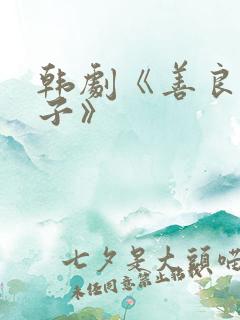 韩剧《善良的妻子》