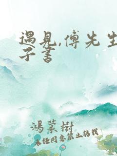 遇见,傅先生电子书