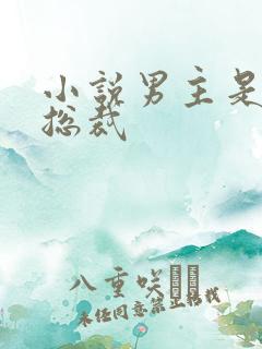 小说男主是霸道总裁