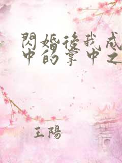 闪婚后我成大佬中的掌中之物