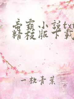 帝霸小说txt精校版下载