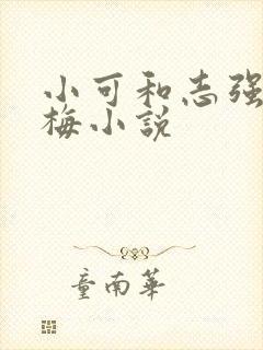小可和志强,阿梅小说