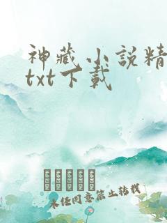 神藏小说精校版txt下载