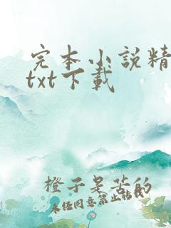完本小说精校版txt下载