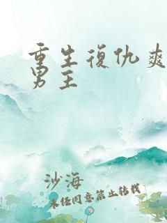 重生复仇爽文双男主